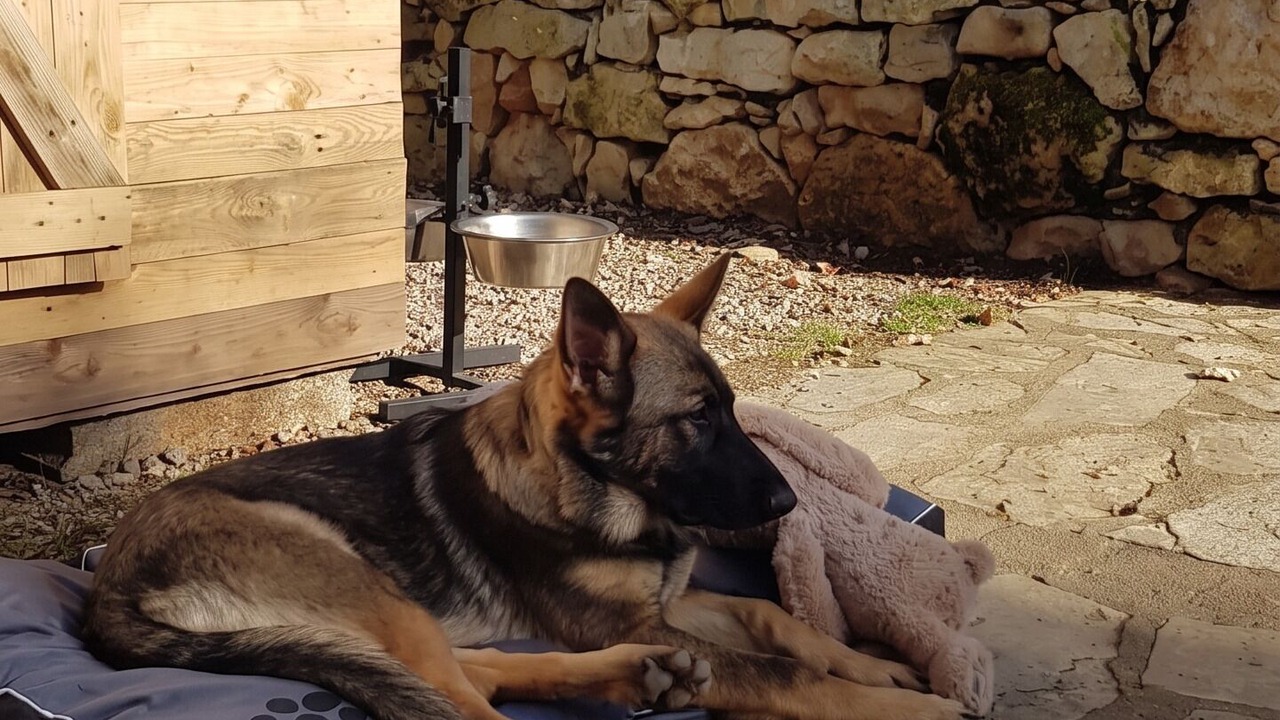Photo of Others in Lissac-sur-Couze