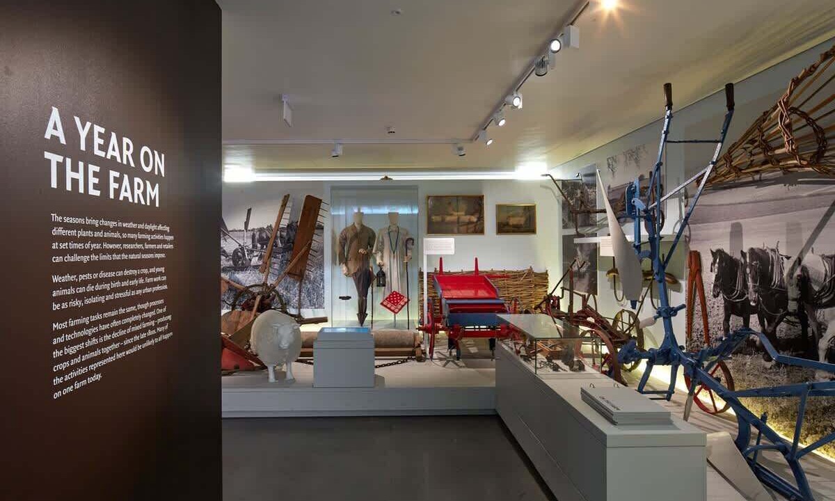 Photo of Others in Reading