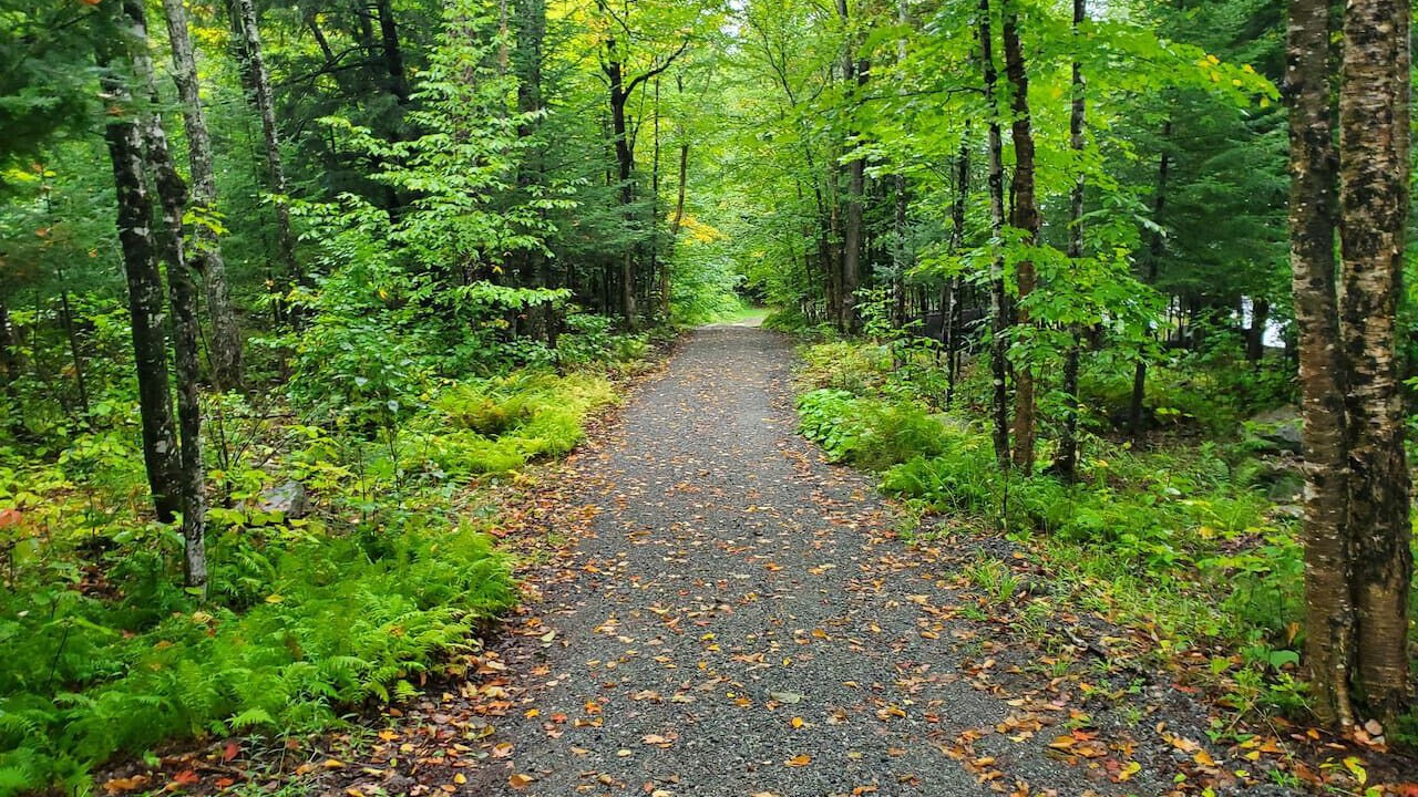 Photo of Others in Amherst