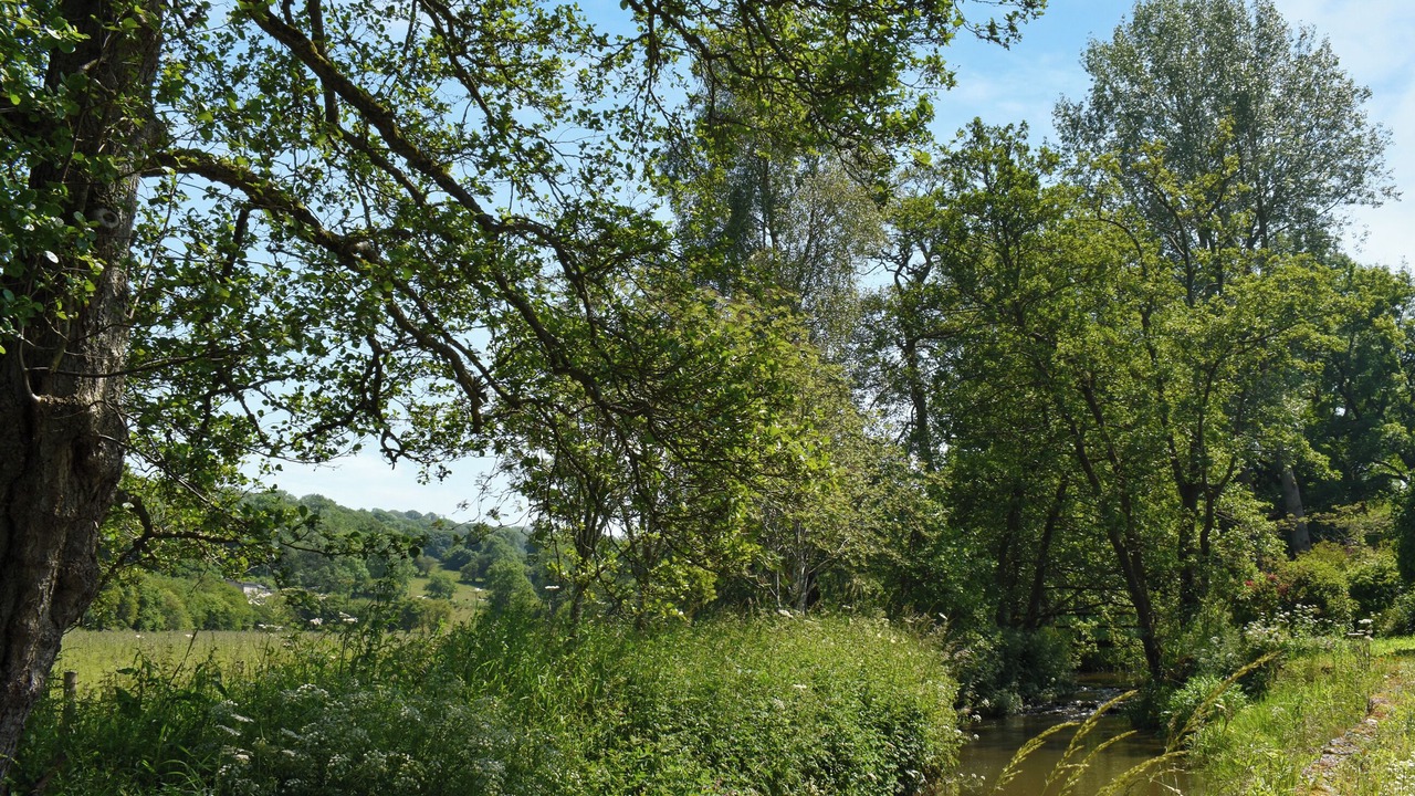 Photo of Outdoor in Llanarmon-yn-Ial