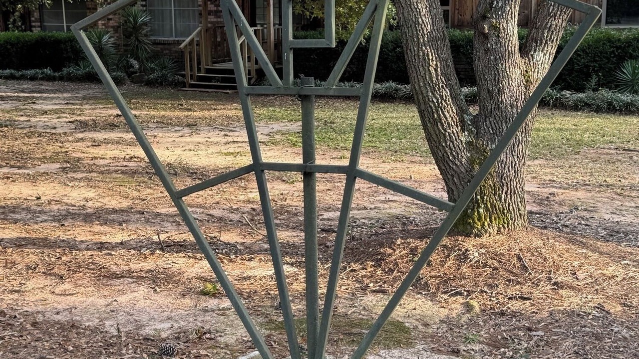 Photo of Outdoor in Flora