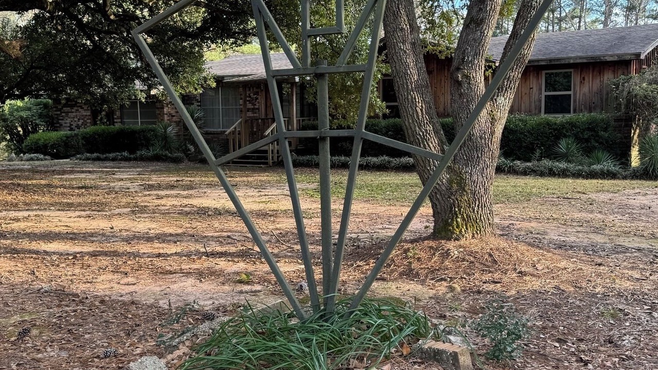 Photo of Outdoor in Flora