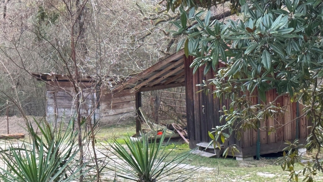 Photo of Outdoor in Flora