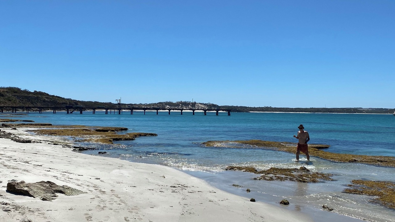 Photo of Others in Newland