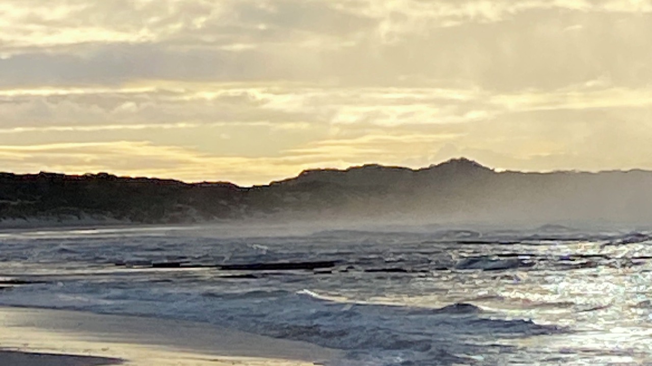 Photo of Others in Newland