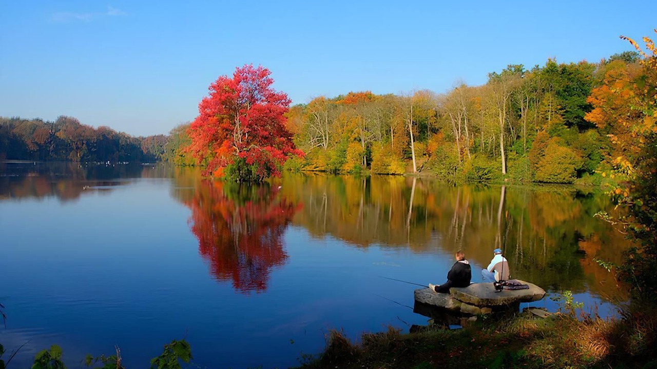 Photo of Others in Coye-la-Foret
