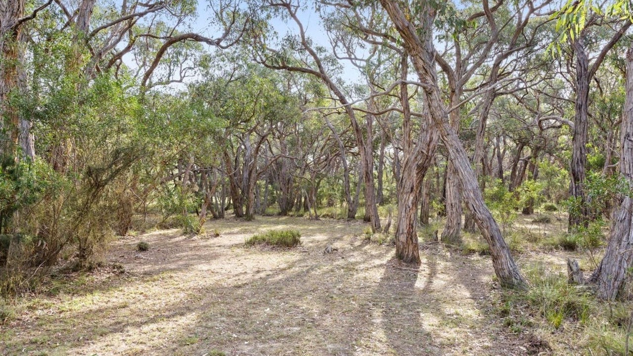 Photo of Outdoor in Bellbrae