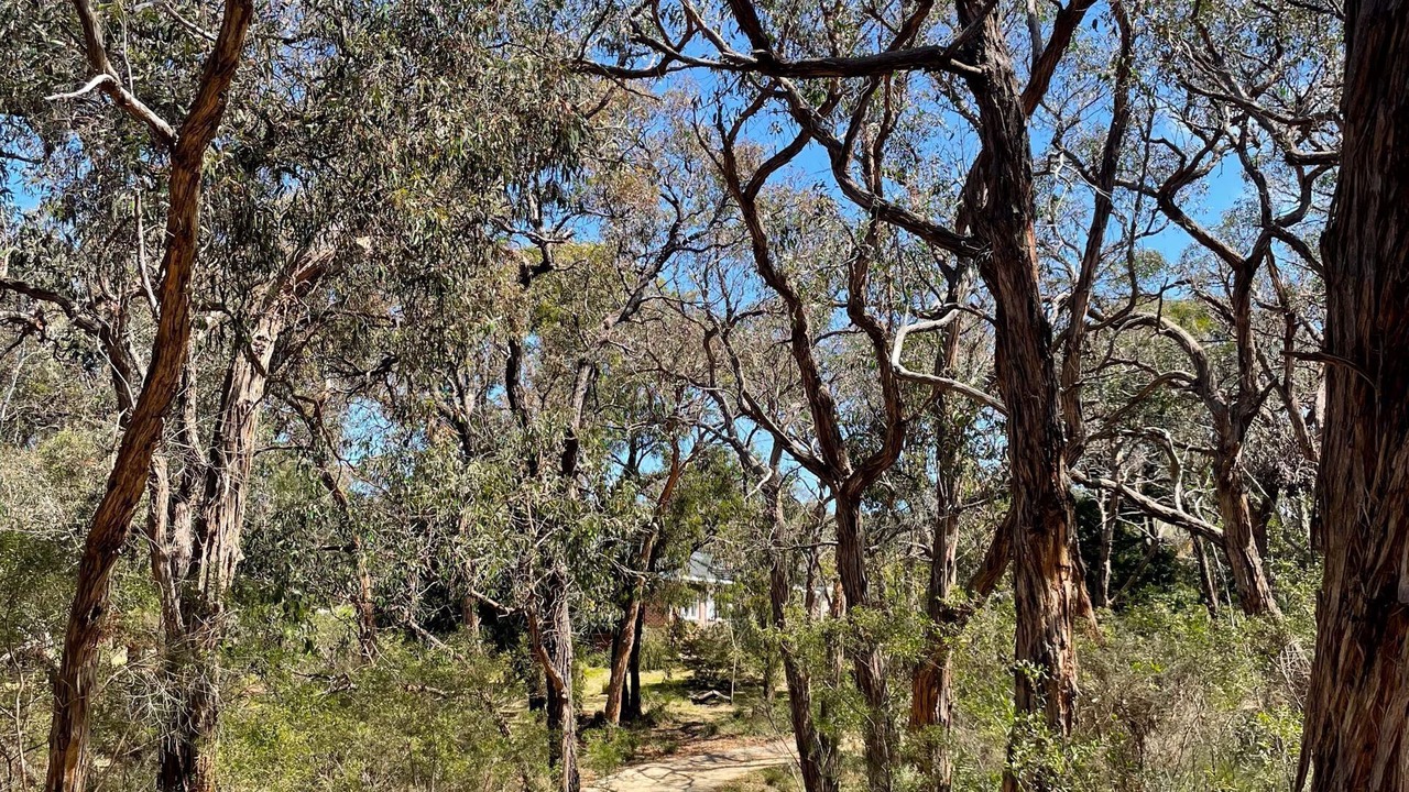 Photo of Others in Bellbrae