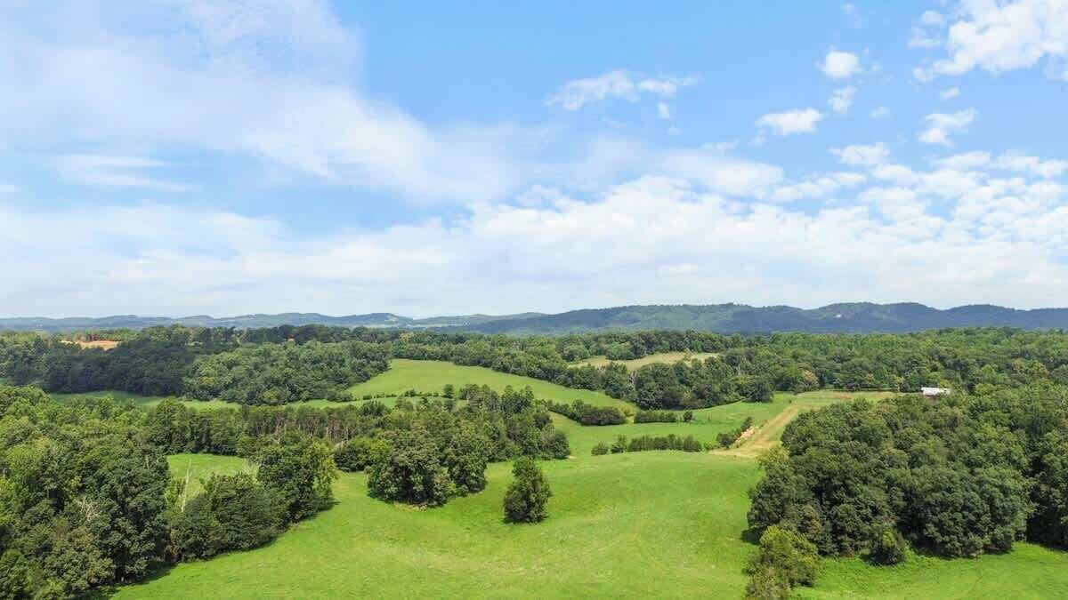 Photo of Others in Dandridge