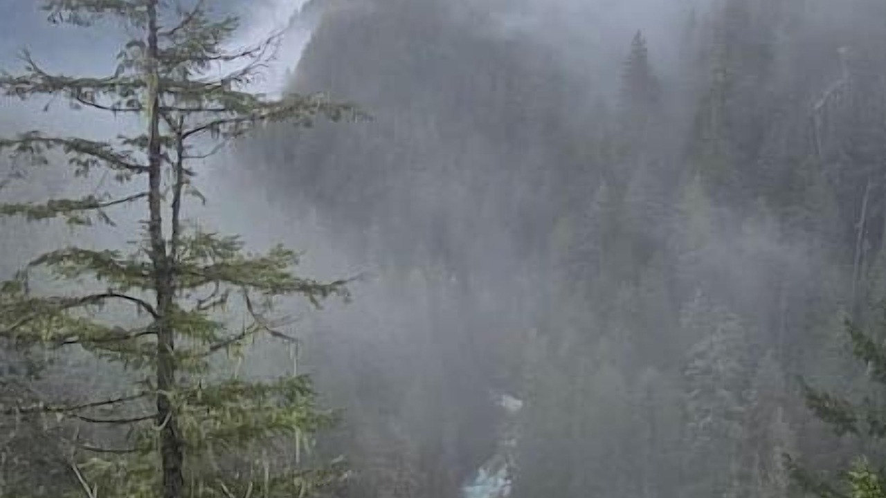 Photo of Others in Marblemount