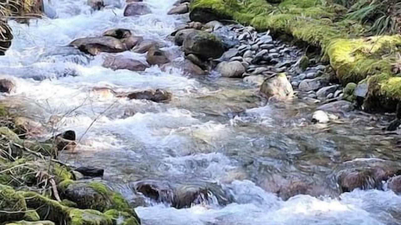 Photo of Outdoor in Marblemount