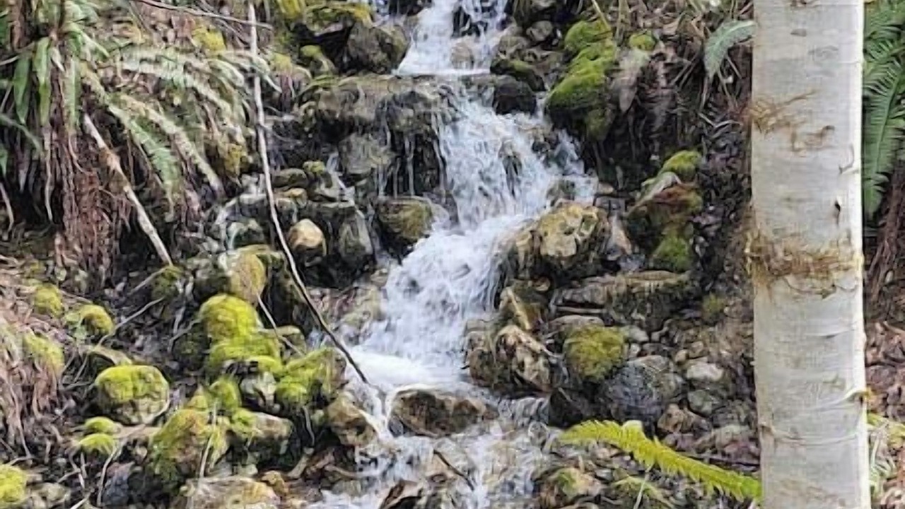 Photo of Outdoor in Marblemount