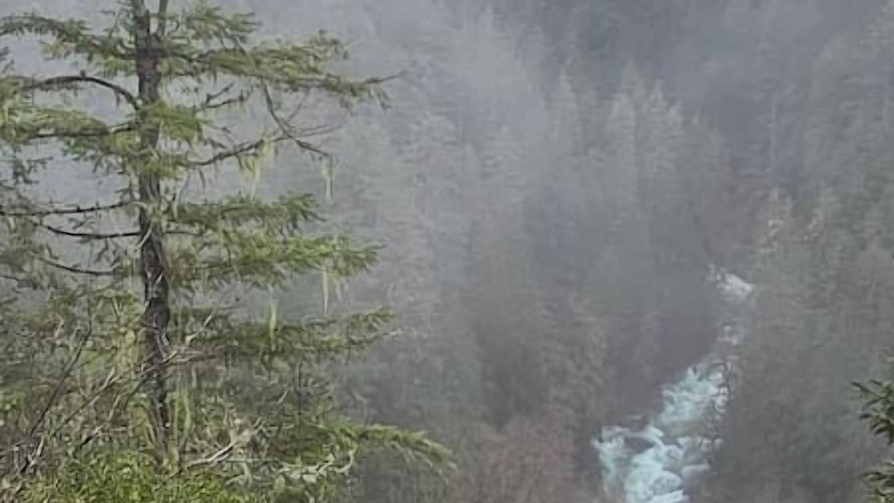 Photo of Others in Marblemount