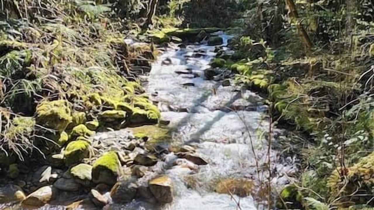 Photo of Outdoor in Marblemount