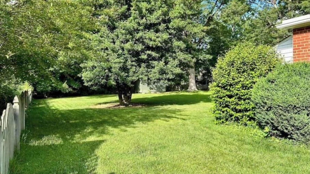 Photo of Outdoor in Richmond
