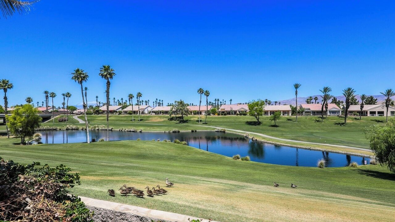 Photo of Others in Desert Palms