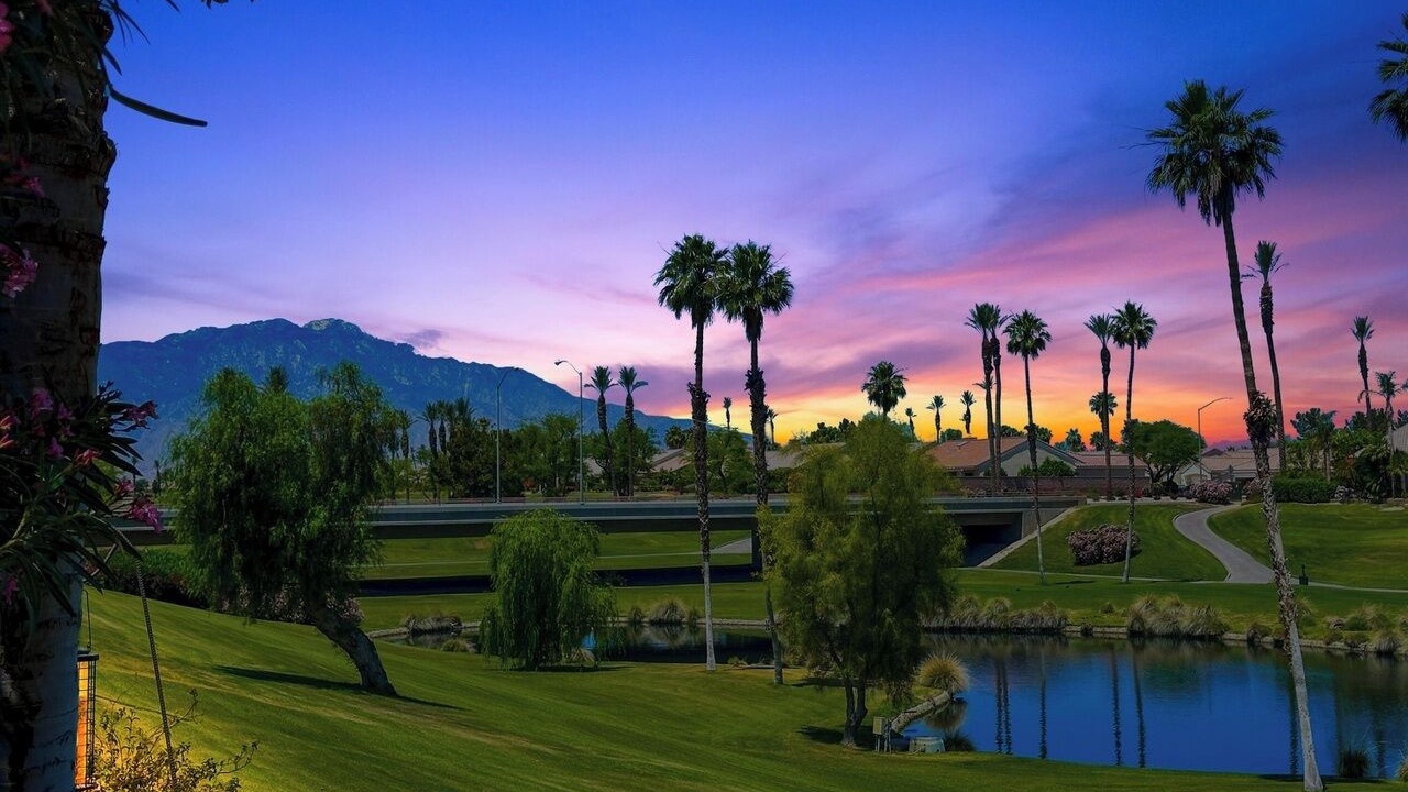 Photo of Others in Desert Palms