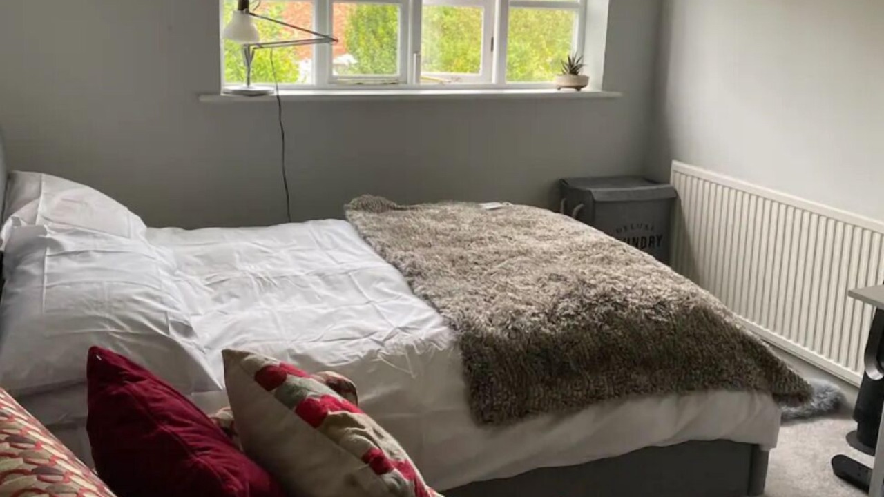 Photo of Others in Hale