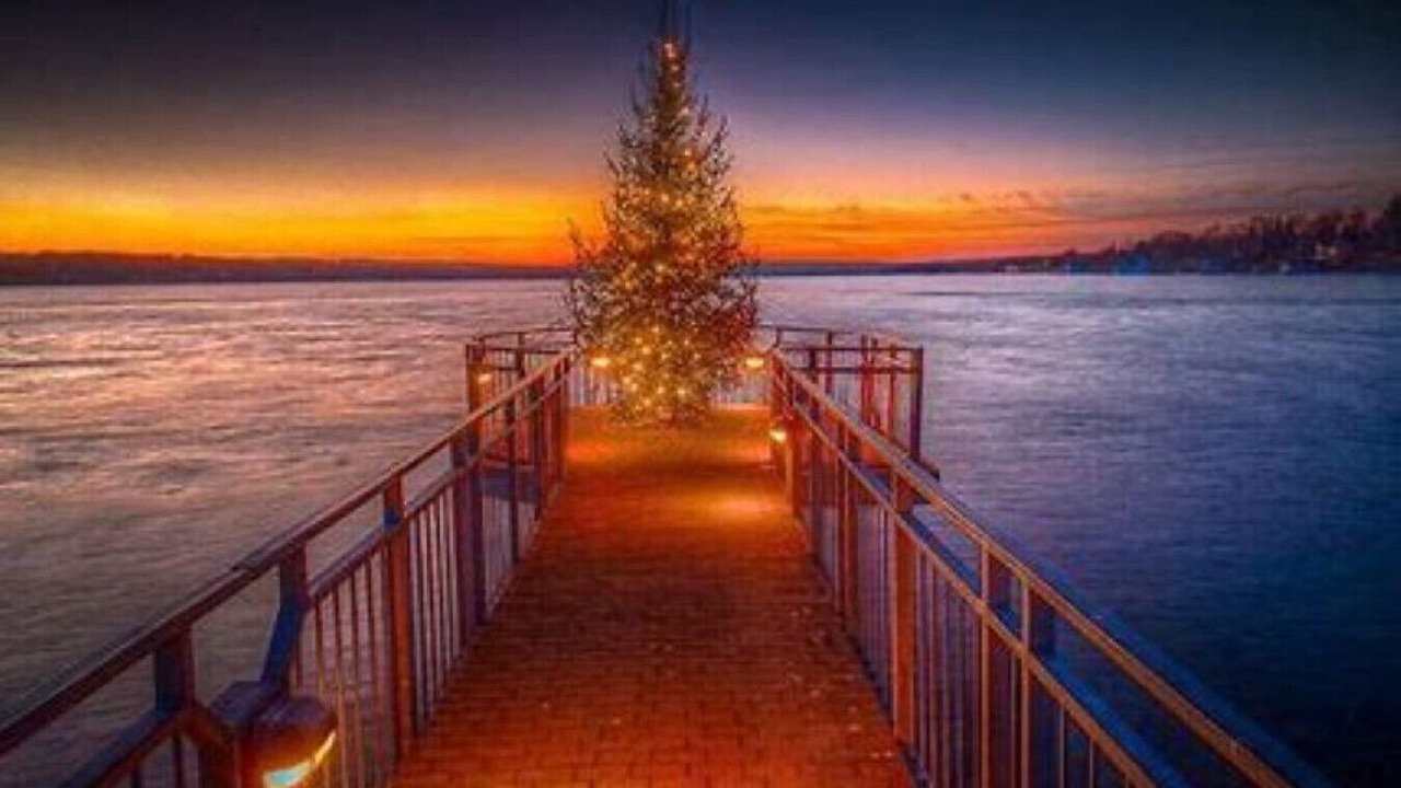 Photo of Others in Skaneateles