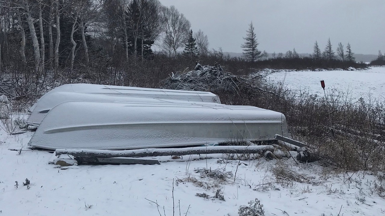 Photo of Others in Indian Bay