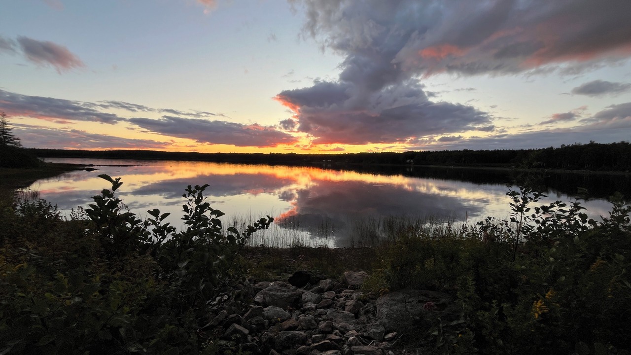 Photo of Others in Indian Bay