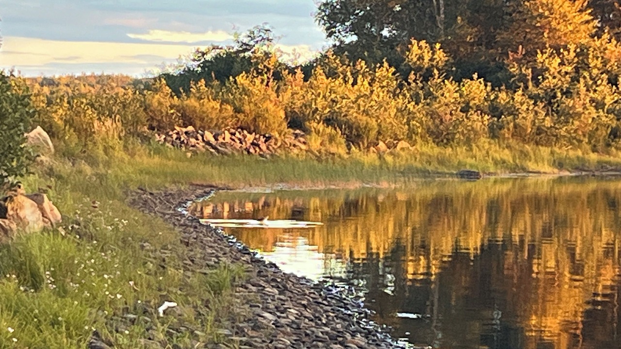 Photo of Others in Indian Bay