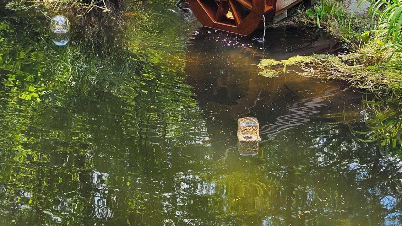 Photo of Others in Jordan Road-Canyon Creek