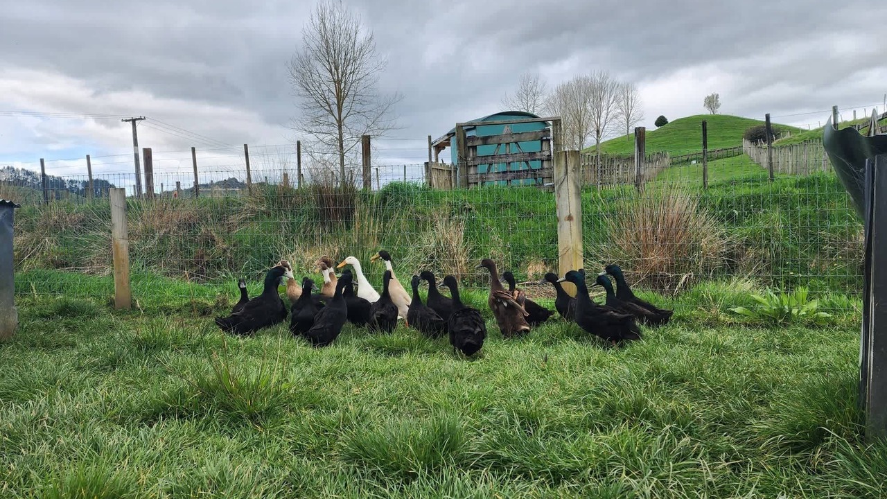 Photo of Others in Stratford District