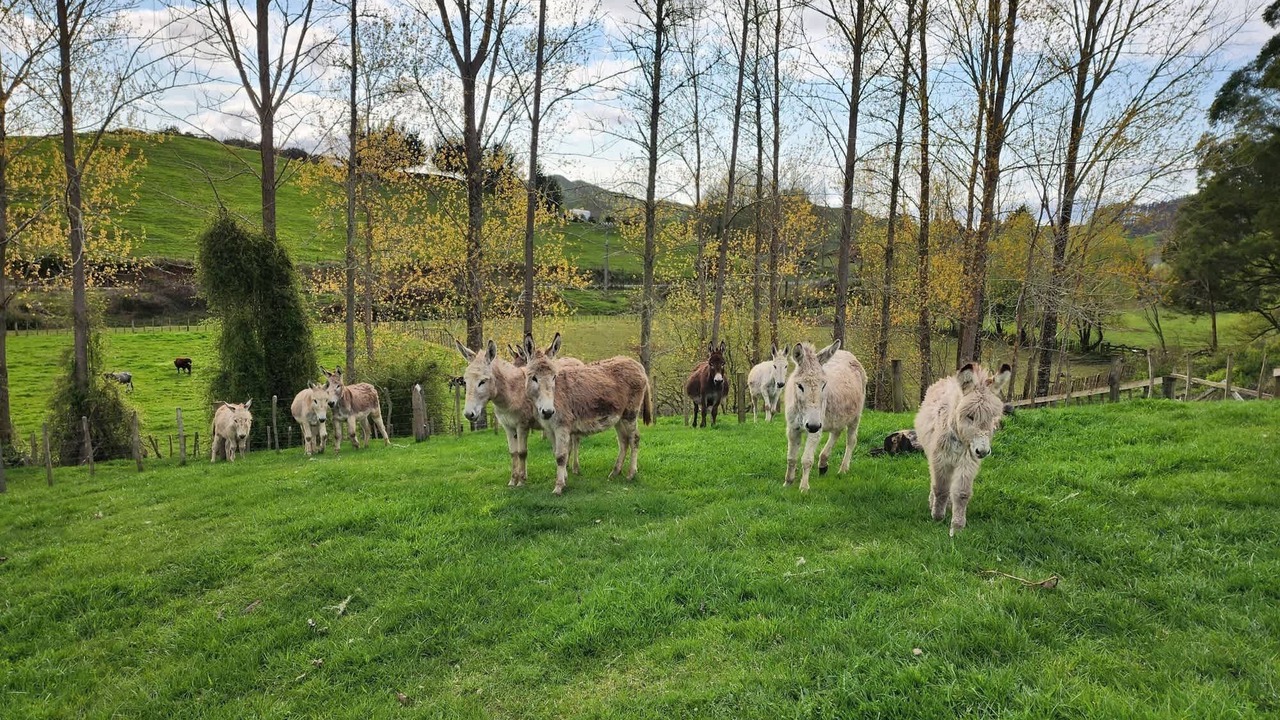 Photo of Others in Stratford District