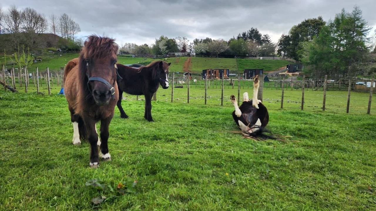 Photo of Others in Stratford District