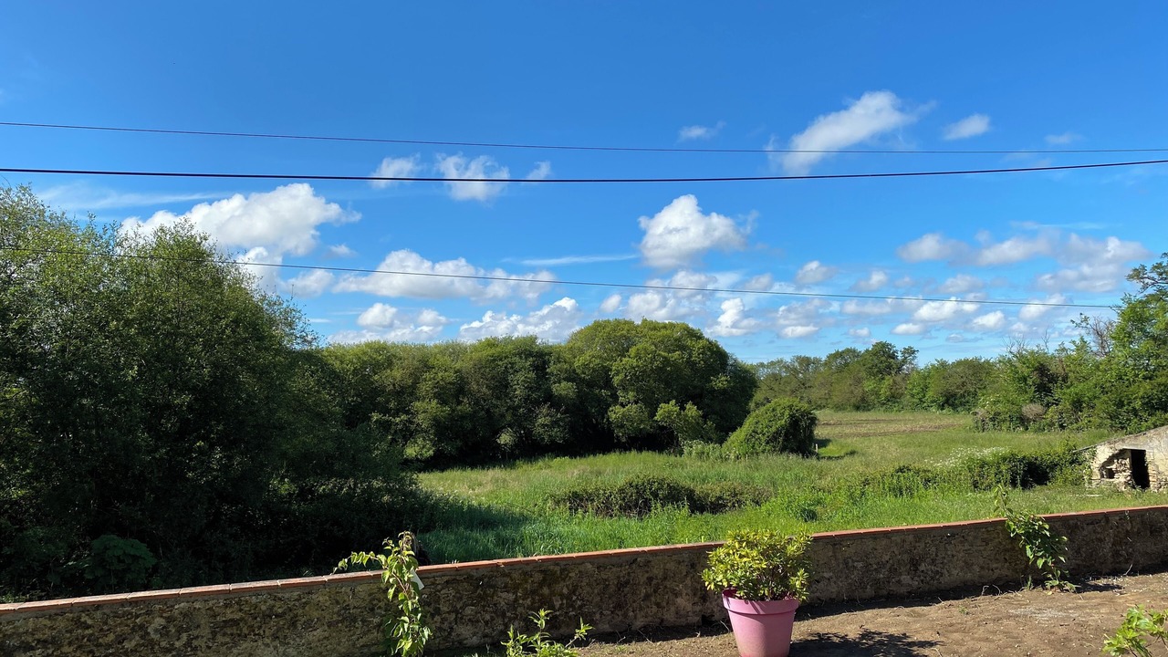 Photo of Outdoor in Challans