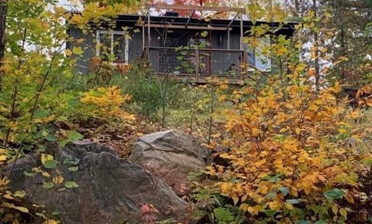 Photo of Outdoor in Purdy