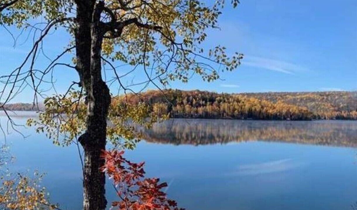 Photo of Outdoor in Purdy