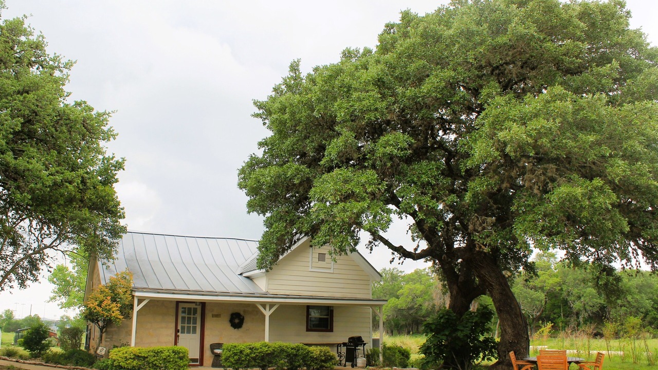 Photo of Others in Boerne