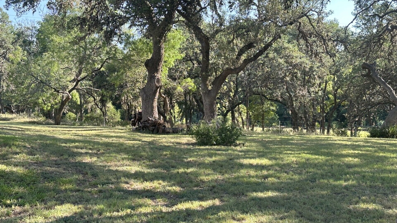 Photo of Others in Boerne