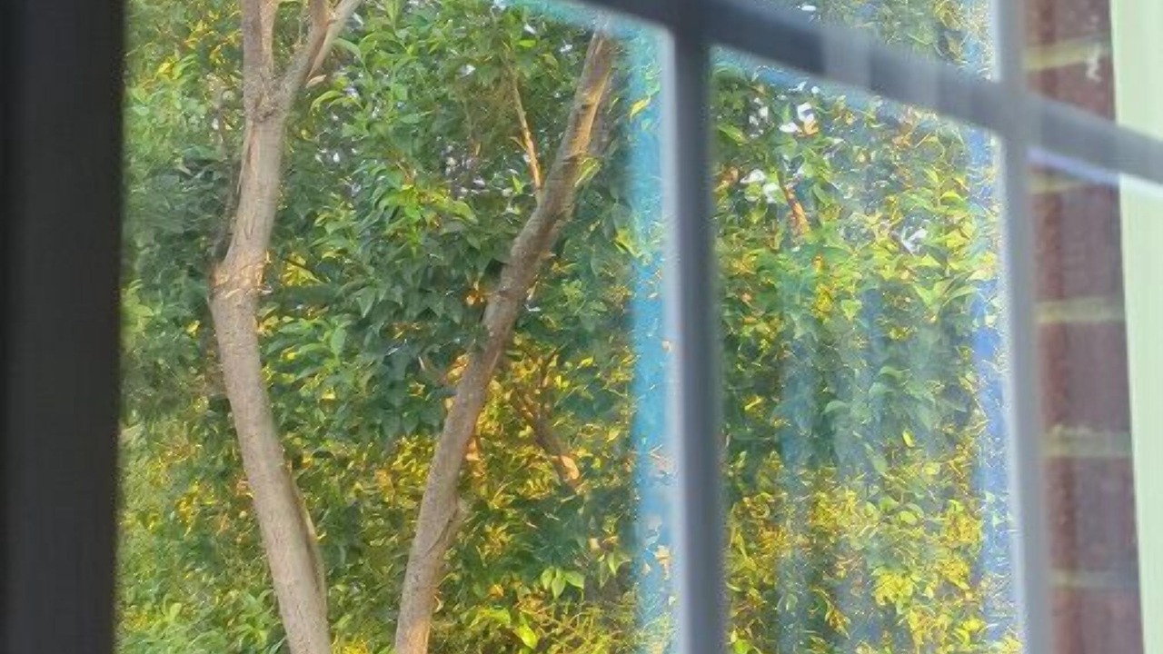 Photo of Outdoor in Greensboro