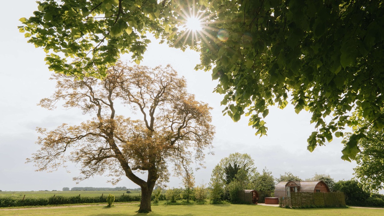 Photo of Outdoor in Weston