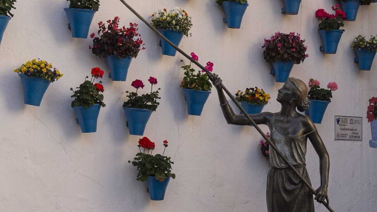 Photo of Outdoor in El Brillante