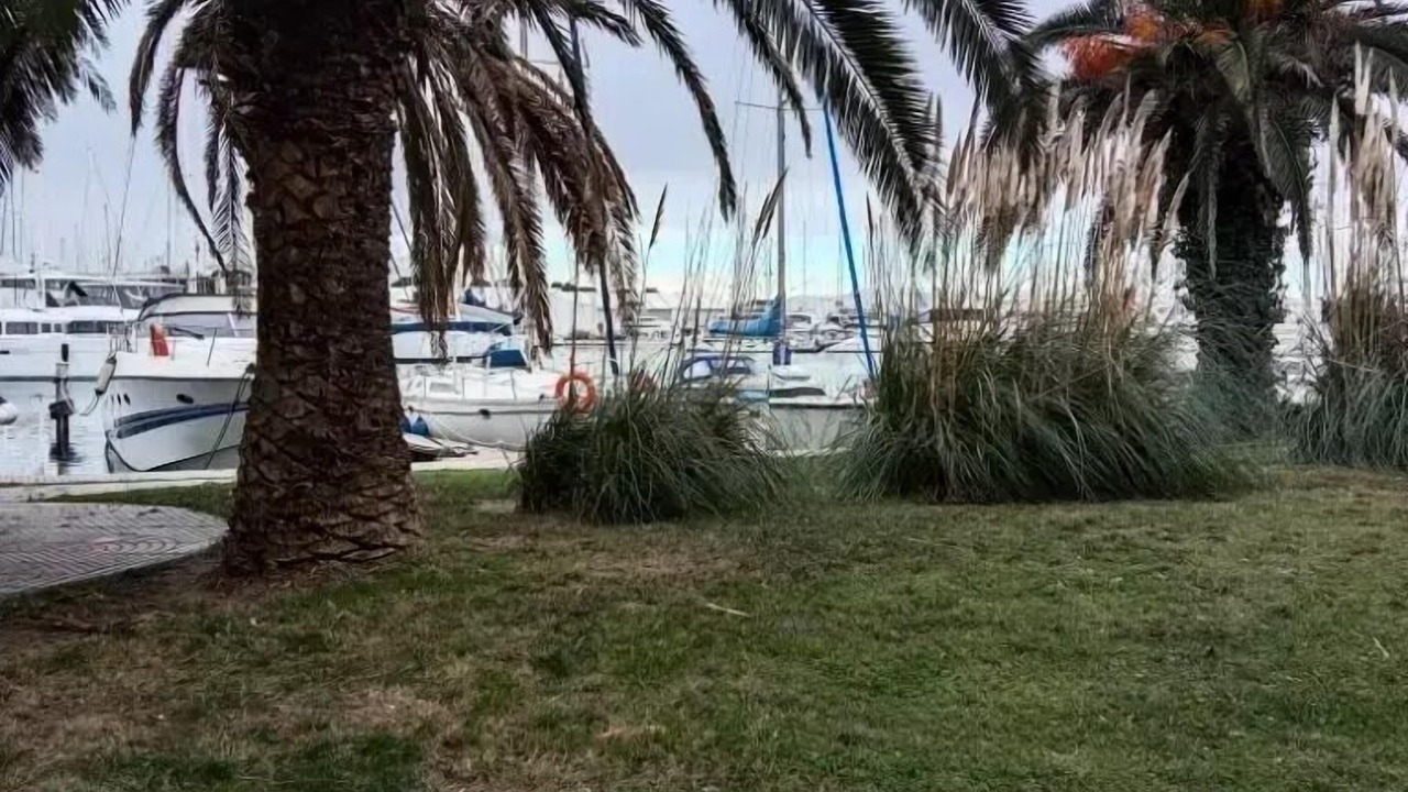 Photo of Others in Le Port