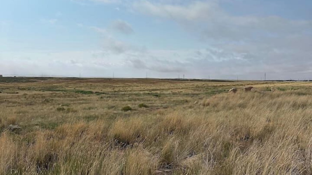 Photo of Others in Laramie