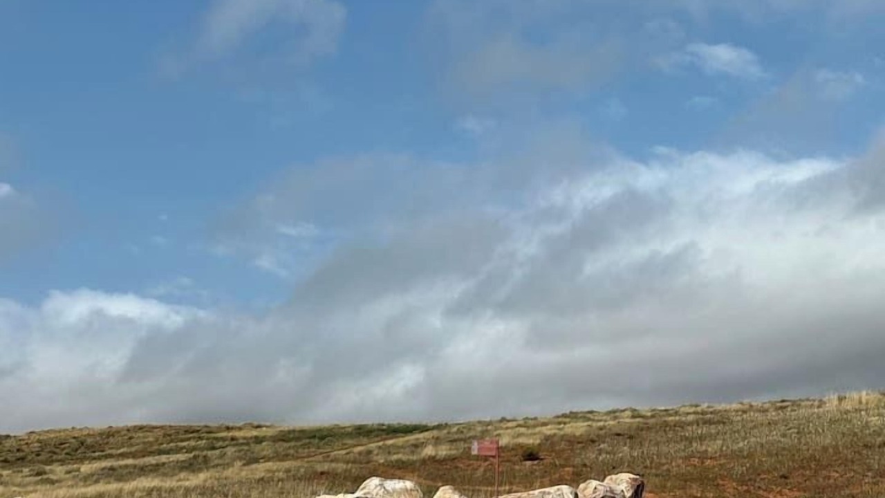 Photo of Others in Laramie