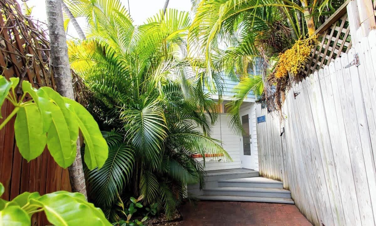 Photo of Outdoor in Midtown