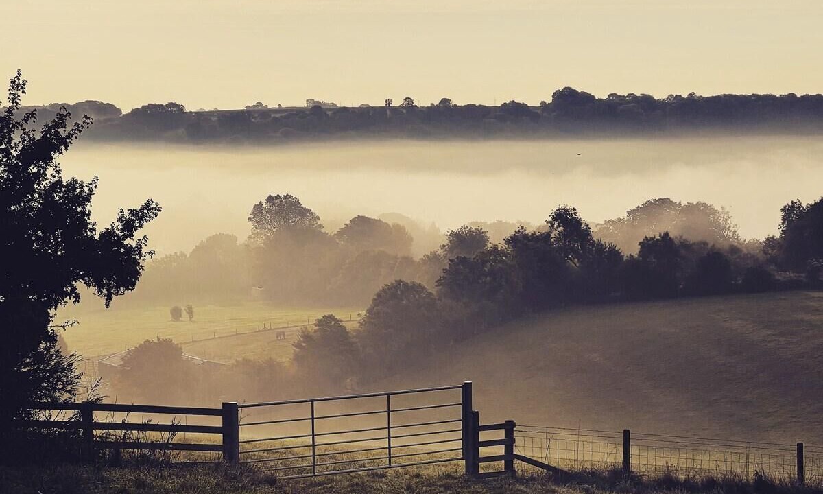 Photo of Others in Combe Hay