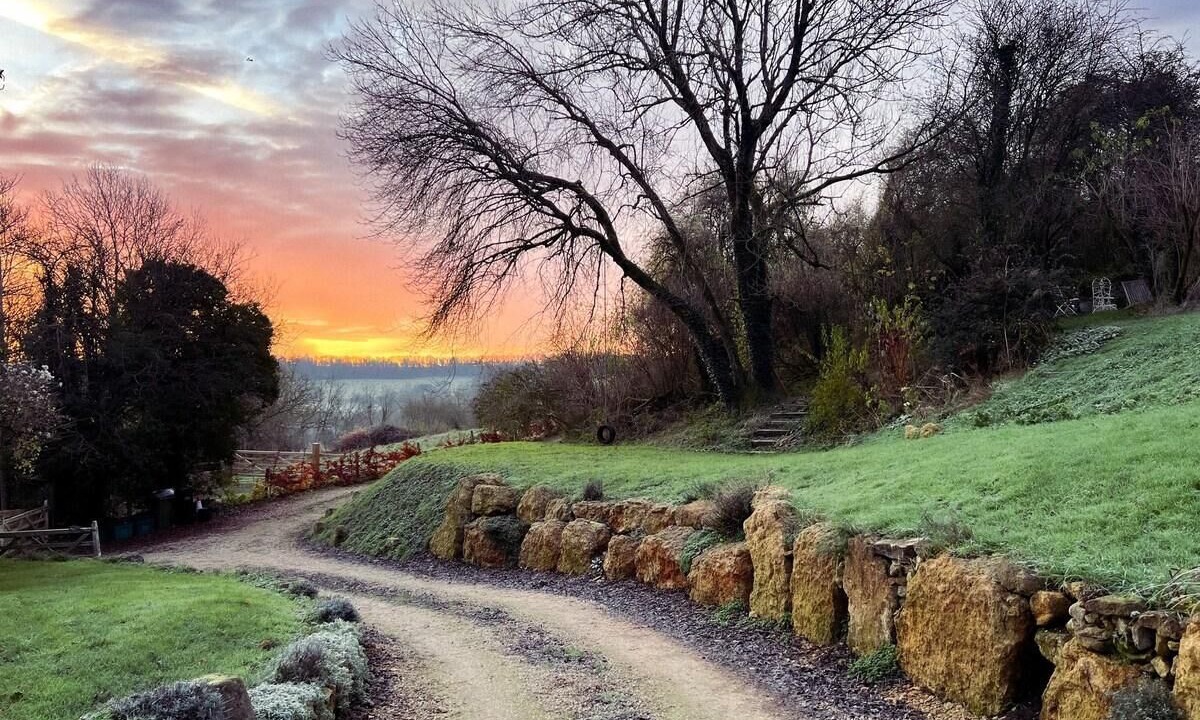 Photo of Others in Combe Hay