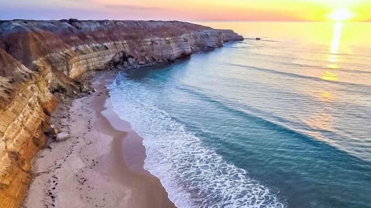 Photo of Others in McLaren Vale