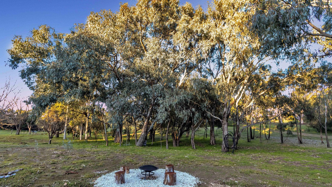 Photo of Outdoor in McLaren Vale