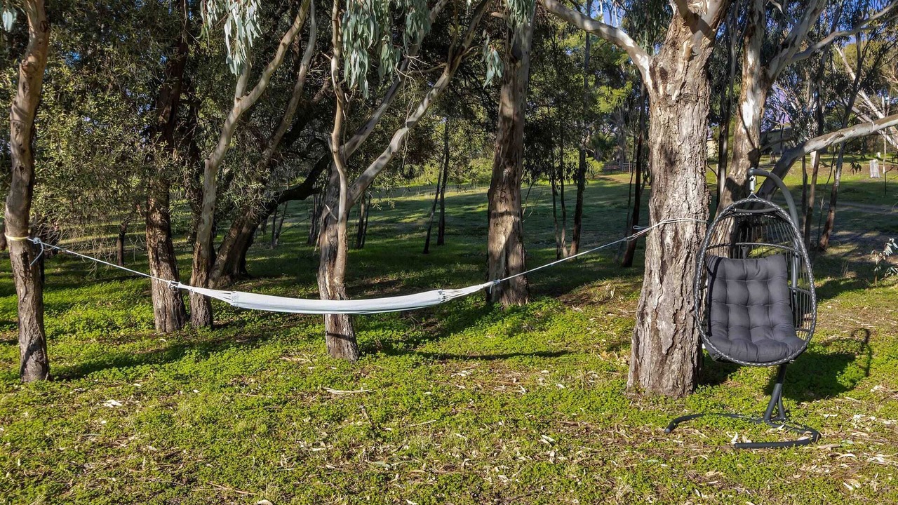 Photo of Others in McLaren Vale