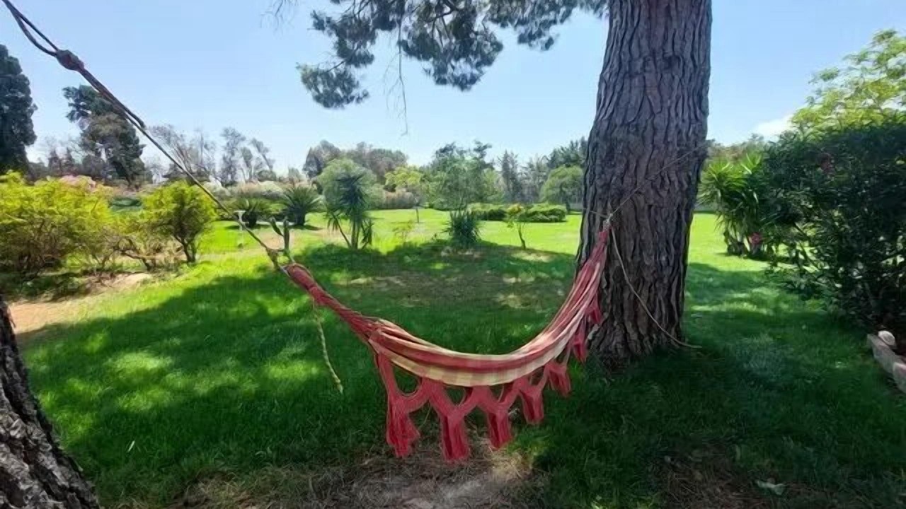 Photo of Outdoor in Perpignan