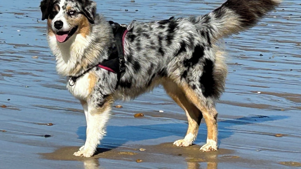 Photo of Others in Auriebat