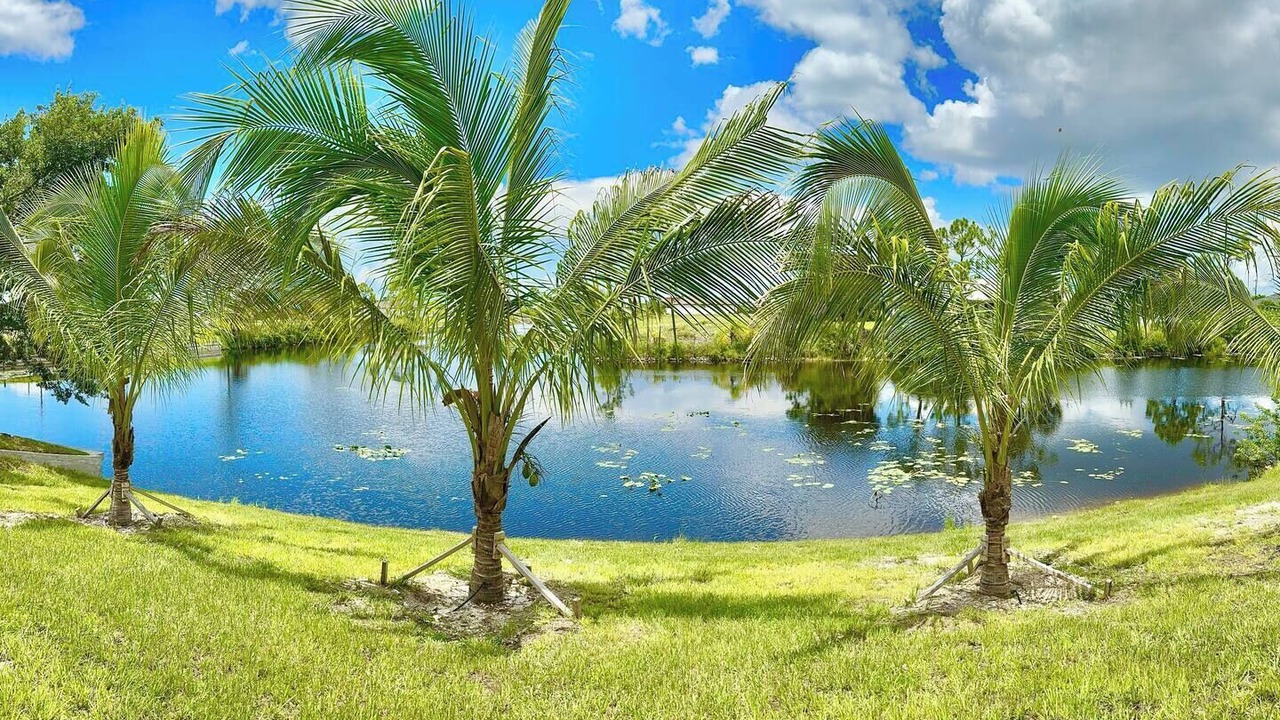 Photo of Outdoor in Mariner